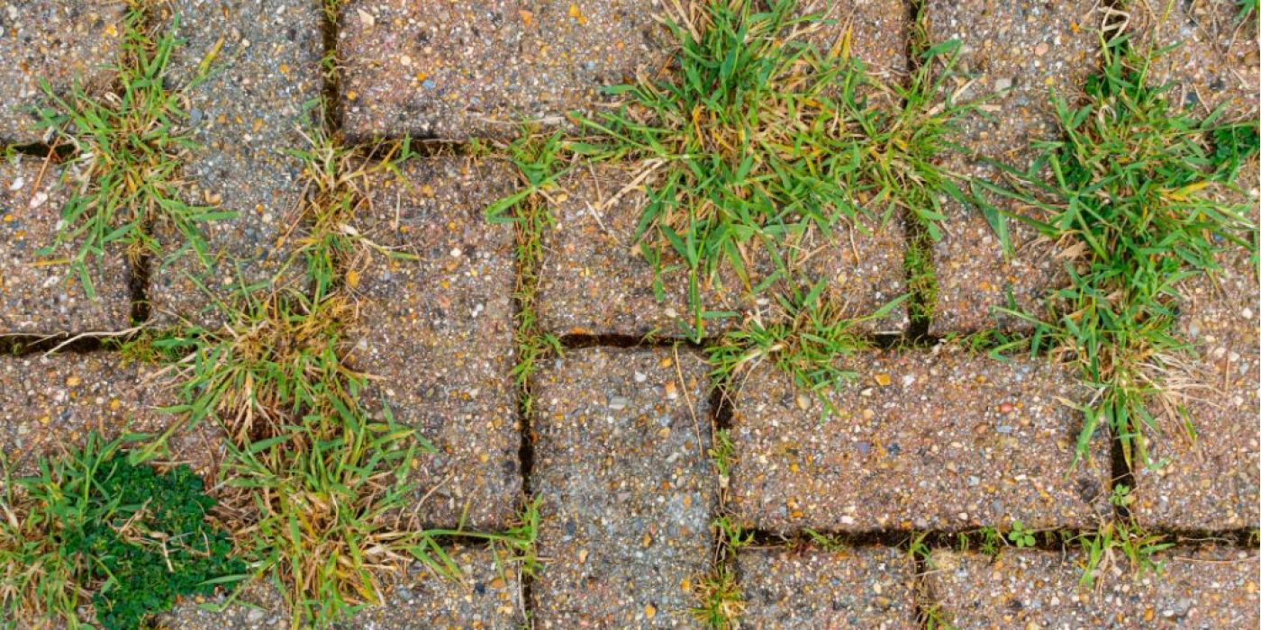 Pavers showing wear, weeds and staining.